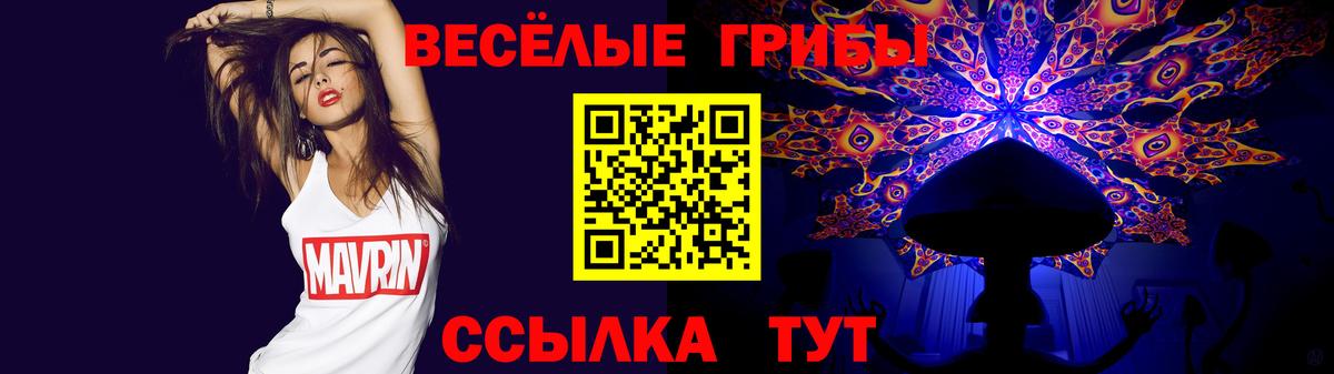 Избербаш  Галлюциногенные грибы Psilocybe  Вход с VPN 